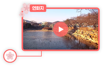 연화지 CCTV