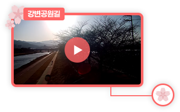 강변공원 CCTV