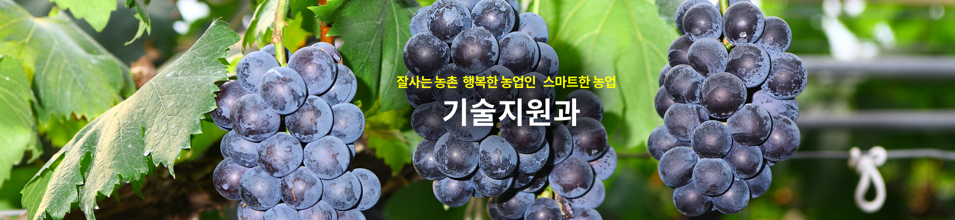 활기찬 지역경제의 든든한 지원군! 기술지원과