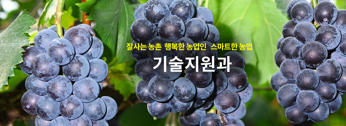활기찬 지역경제의 든든한 지원군! 기술지원과