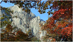 서울특별시 강북구