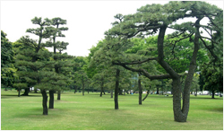 일본나나오시