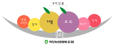 어모농협협동조합 꿈앤들 - 주력상품(배,포도), 방울토마토, 참외, 복숭아, 사과