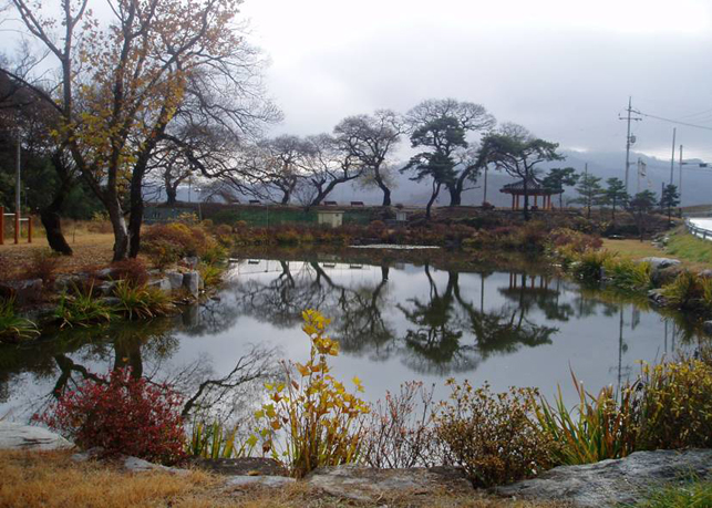 동부연지
