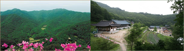 수도산