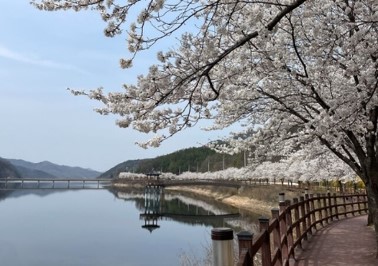 오봉저수지 사진