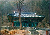 신흥사