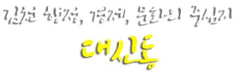 김천 행정, 경제, 문화의 중심지 대신동