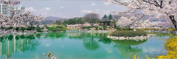 연화지(교동)