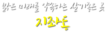 밝은 미래를 약속하는 살기좋은 곳 지좌동