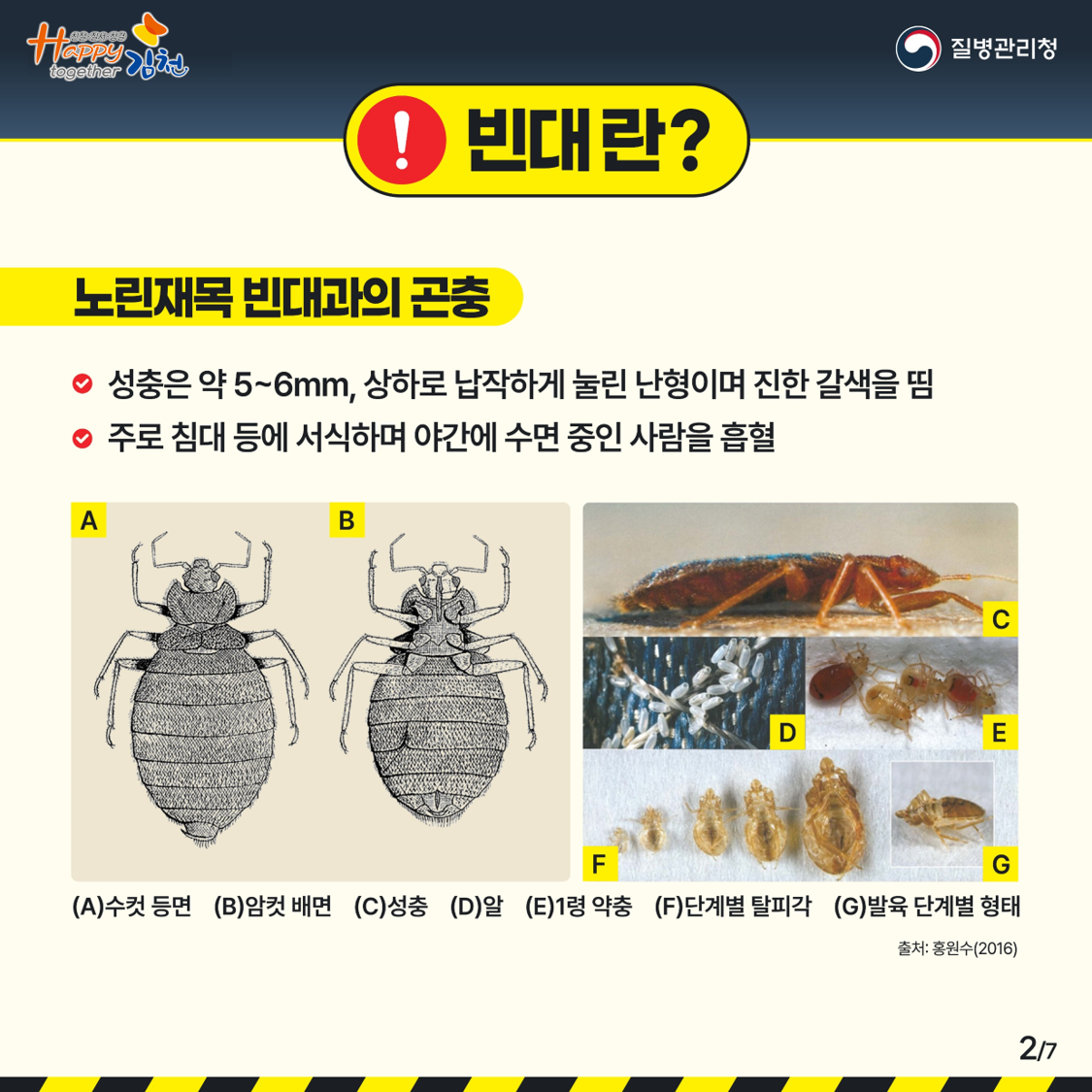 빈대2