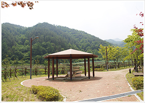 개수대
