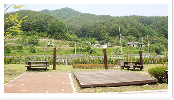 캠핑장이미지