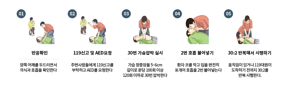 1. 반응확인 - 양쪽 어깨를 두드리면서 의식과 호흡을 확인한다, 2. 119신고 및 AED요청 - 주변사람들에게 119신고를 부탁하고 AED를 요청한다, 3. 30번 가슴압박 실시 - 가슴 정중앙을 5~6cm 깊이로 분당 100회 이상 120회 이하로 30번 압박한다, 4. 2번 호흡 불어넣기 - 환자 코를 막고 입을 완전히 포개어 호흡을 2번 불어넣는다, 5. 30:2 반복해서 시행하기 - 움직임이 있거나 119대원이 도착하기 전까지 30:2를 반복 시행한다.